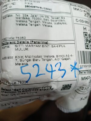 AWB: SPXMY069133293824