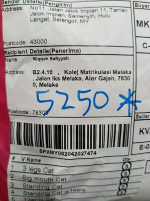 AWB: SPXMY062042027474
